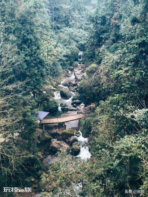 青城山海拔多少米高(成都都江堰青城山景区的游玩攻略)-图片14